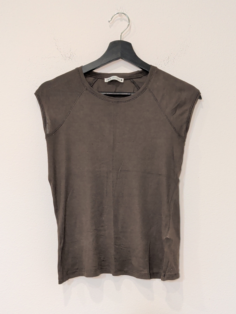 Zara Semi Sheer Top